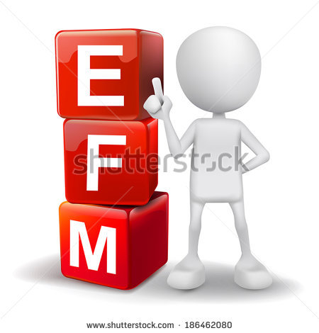 Enterprise feedback management (efm)