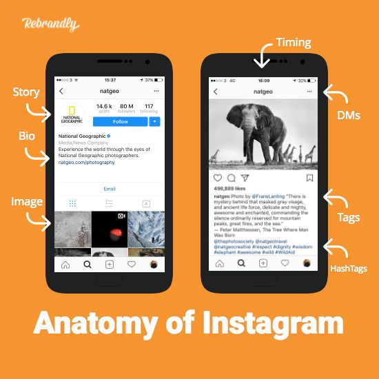 Instagram для бизнеса: советы экспертов