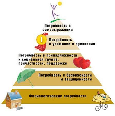 Пирамида потребностей человека по маслоу: 7 основных уровней