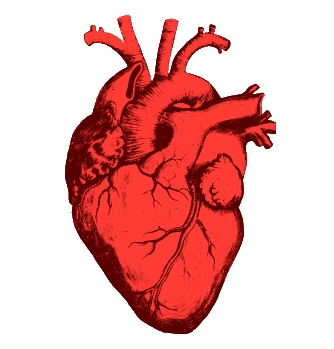 Почему символ сердца ¦ выглядит именно так?