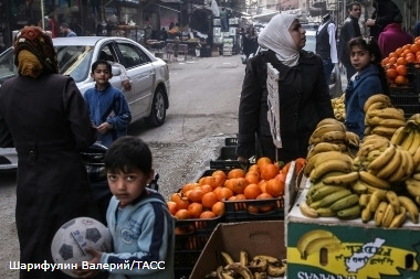 Сирия начала организованные поставки овощей и фруктов в рф